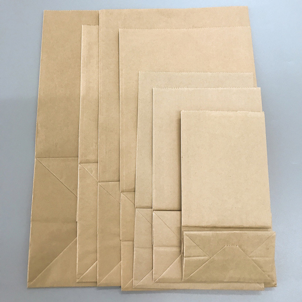 Food In Snacks - Kraft Paper Food Grade Bags 100