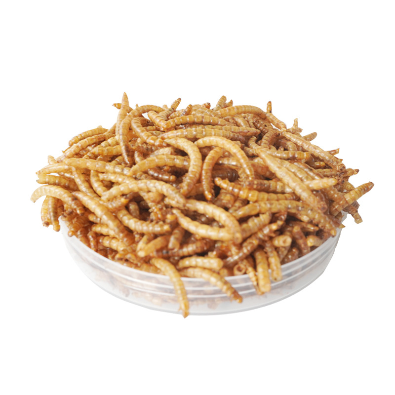 Food Snacks With High Protein - High-Protein Snacks Hamster Food Birds Hedgehog