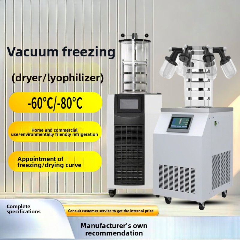 Food In Snacks - Vacuum Food Fruit Commercial And Household