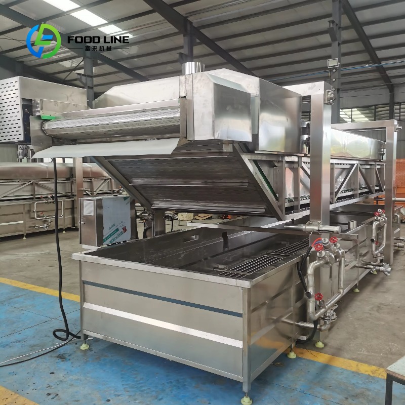 Food Snacks Chips - Custom Continuous Automatic Potato Chips Chicken