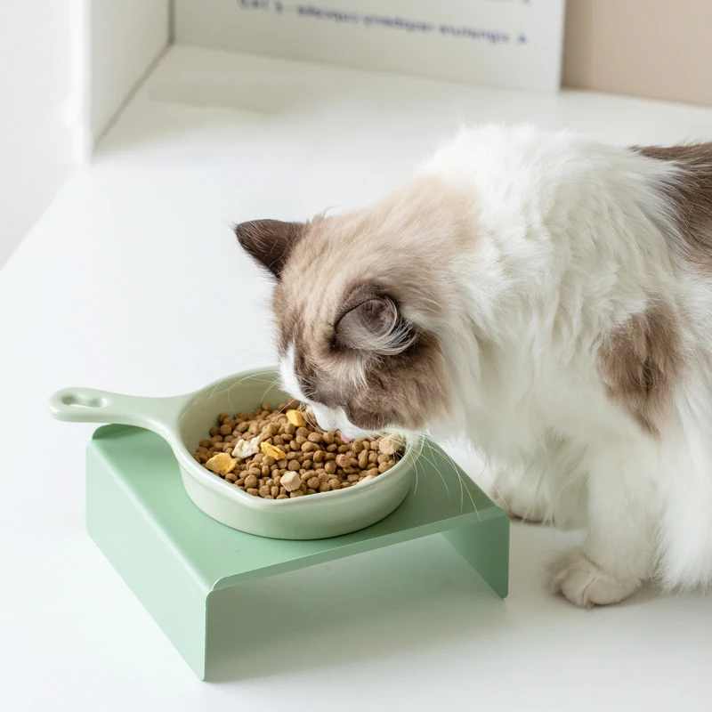 Cat Food Water Bowl with Handl - đánh giá và giá Food Snacks With Iron